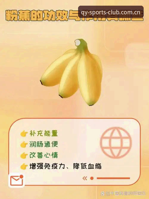 千亿球友会安卓版下载 揭秘千亿球友会安卓版下载:安全、功能与体验的全面解析